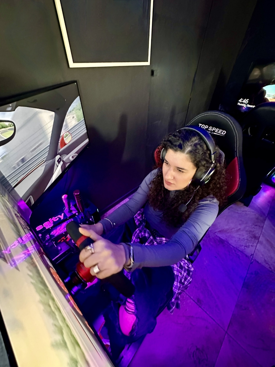 Picture of Racing simulator for group