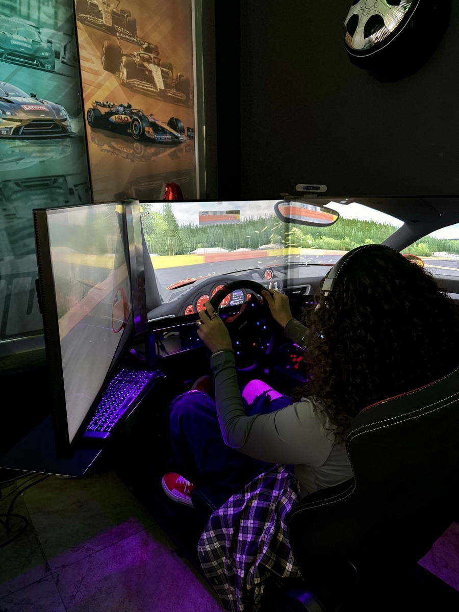 Picture of Racing simulator for group