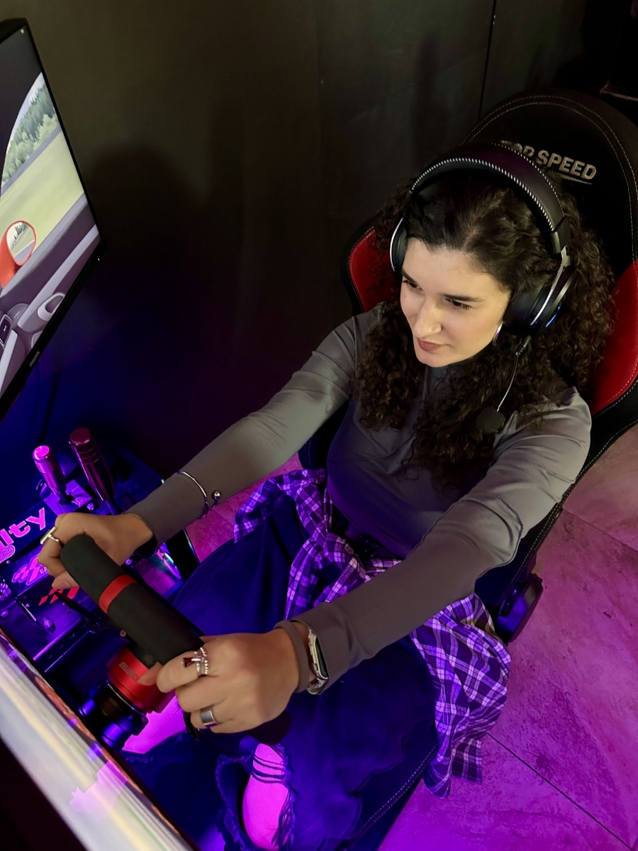 Picture of Racing simulator for two